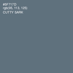 #5F717D - Cutty Sark Color Image